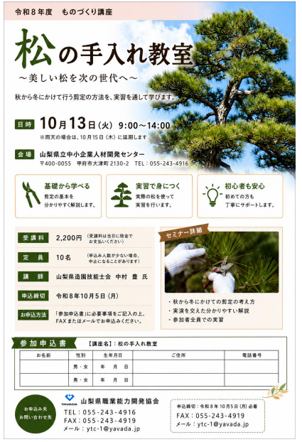 松の手入れ教室の写真です。